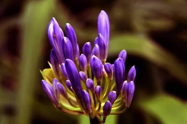 是目前联盟 是目前联盟