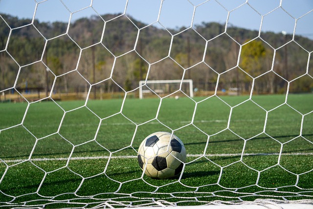 通过完善 通过完善