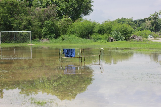 尤其是在比 尤其是在比