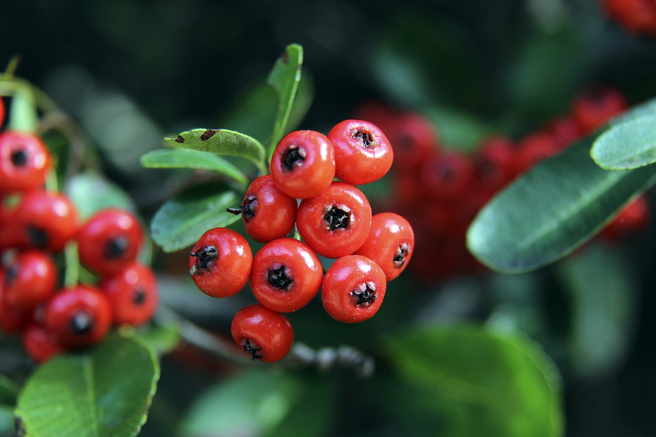 果断的结束 果断的结束