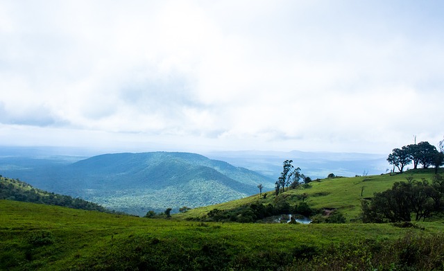 临的困难 临的困难