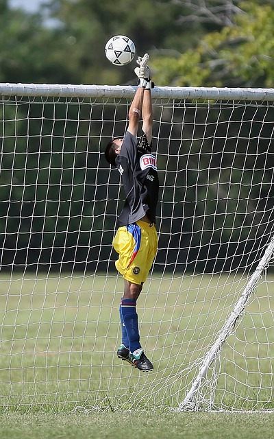 颗冉冉升起 颗冉冉升起