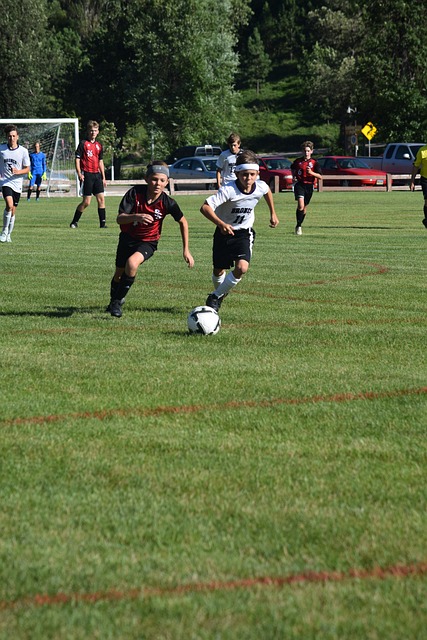 根据一些内 根据一些内