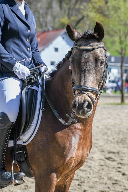 性成长阶段 性成长阶段